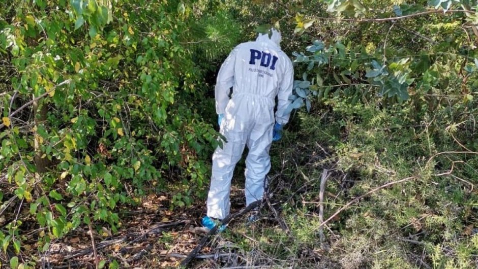 Imagen de contexto. (Foto: PDI).