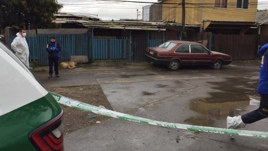 Foto: Cooperativa.